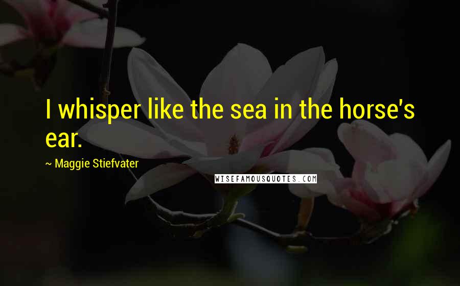 Maggie Stiefvater Quotes: I whisper like the sea in the horse's ear.