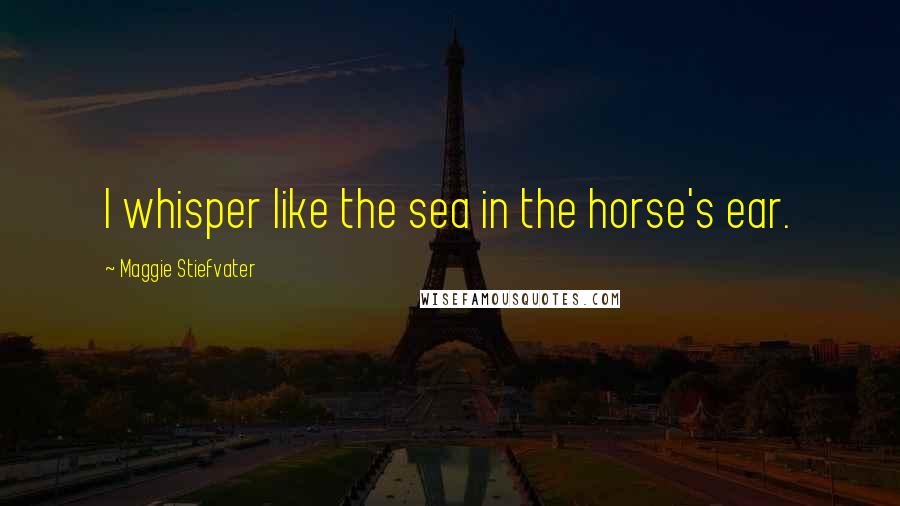 Maggie Stiefvater Quotes: I whisper like the sea in the horse's ear.