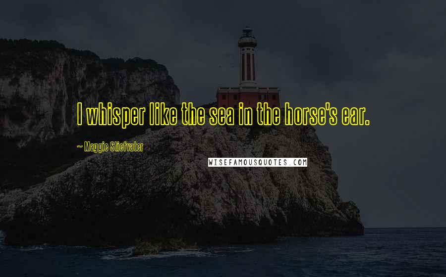 Maggie Stiefvater Quotes: I whisper like the sea in the horse's ear.