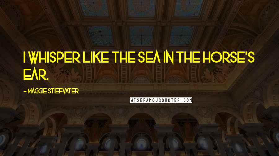 Maggie Stiefvater Quotes: I whisper like the sea in the horse's ear.