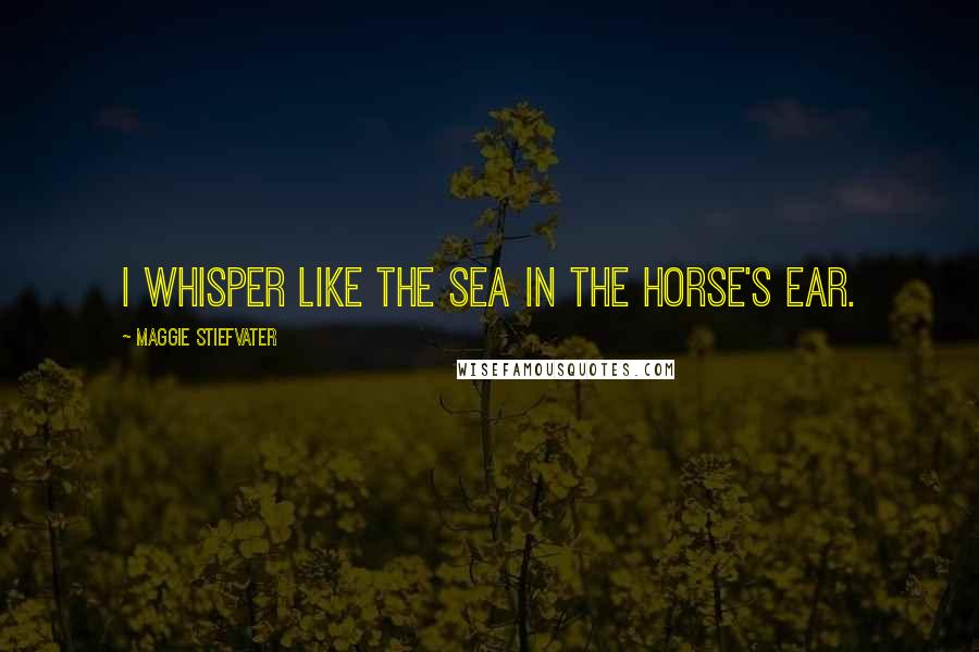 Maggie Stiefvater Quotes: I whisper like the sea in the horse's ear.