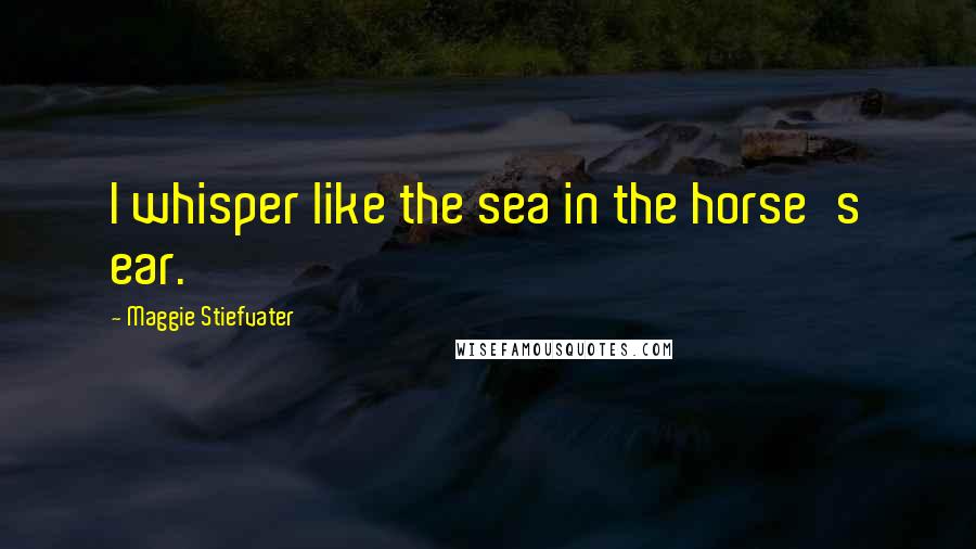 Maggie Stiefvater Quotes: I whisper like the sea in the horse's ear.