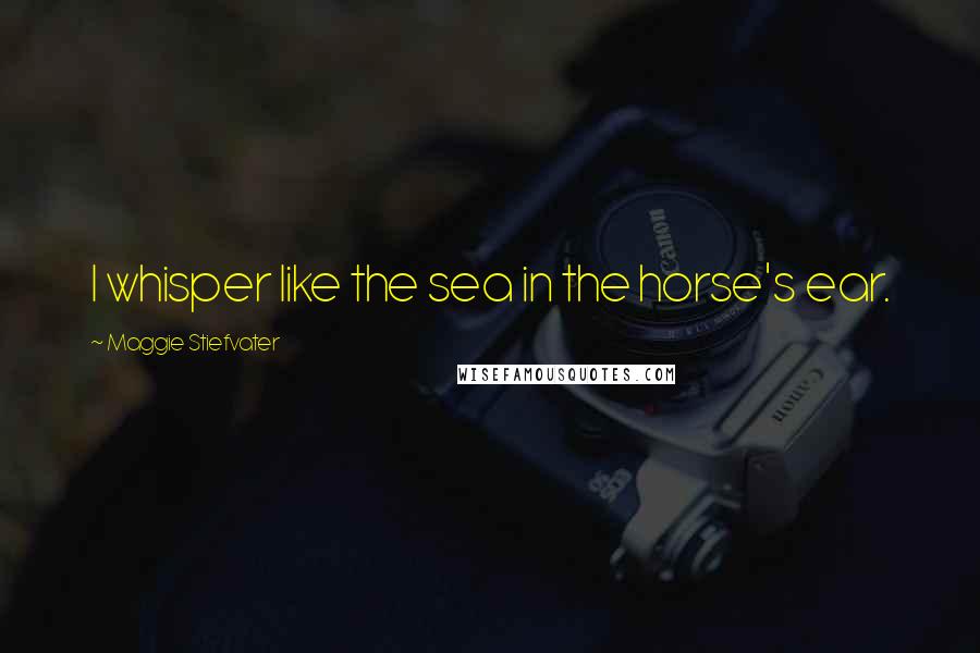 Maggie Stiefvater Quotes: I whisper like the sea in the horse's ear.