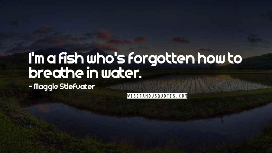 Maggie Stiefvater Quotes: I'm a fish who's forgotten how to breathe in water.