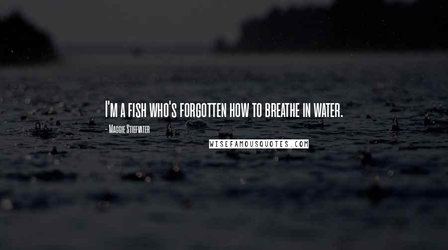Maggie Stiefvater Quotes: I'm a fish who's forgotten how to breathe in water.