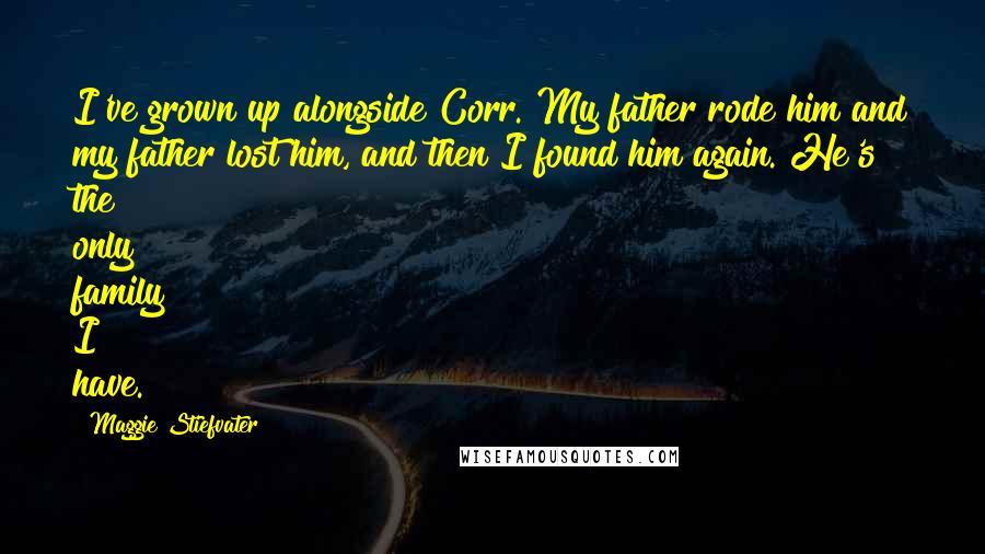 Maggie Stiefvater Quotes: I've grown up alongside Corr. My father rode him and my father lost him, and then I found him again. He's the only family I have.