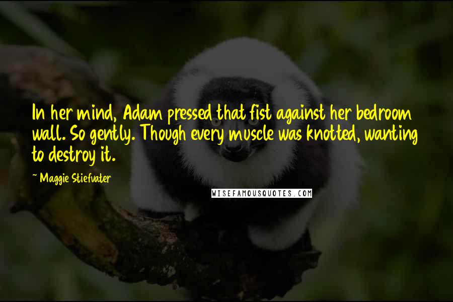 Maggie Stiefvater Quotes: In her mind, Adam pressed that fist against her bedroom wall. So gently. Though every muscle was knotted, wanting to destroy it.