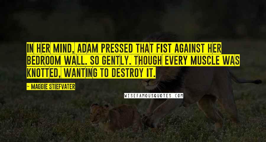 Maggie Stiefvater Quotes: In her mind, Adam pressed that fist against her bedroom wall. So gently. Though every muscle was knotted, wanting to destroy it.