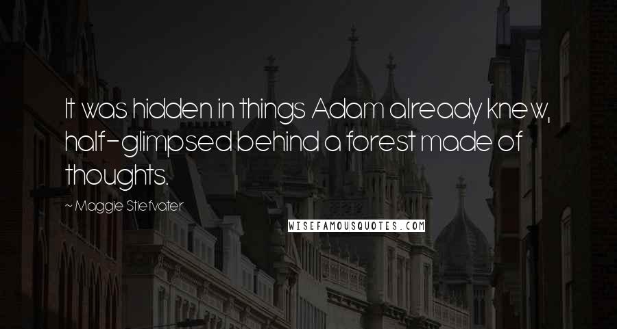 Maggie Stiefvater Quotes: It was hidden in things Adam already knew, half-glimpsed behind a forest made of thoughts.