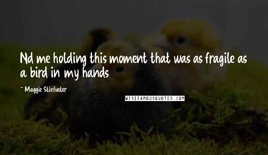 Maggie Stiefvater Quotes: Nd me holding this moment that was as fragile as a bird in my hands