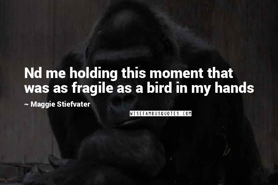 Maggie Stiefvater Quotes: Nd me holding this moment that was as fragile as a bird in my hands