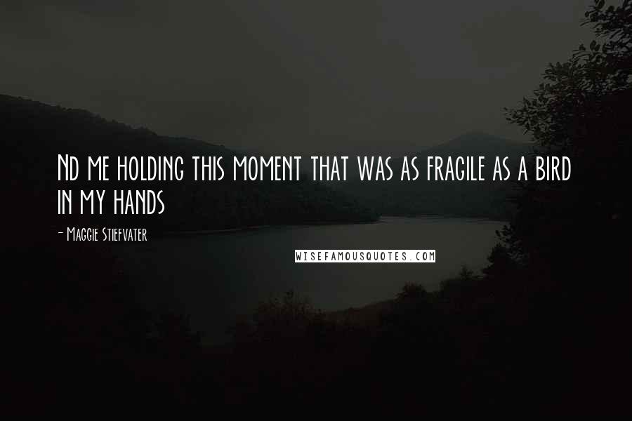 Maggie Stiefvater Quotes: Nd me holding this moment that was as fragile as a bird in my hands