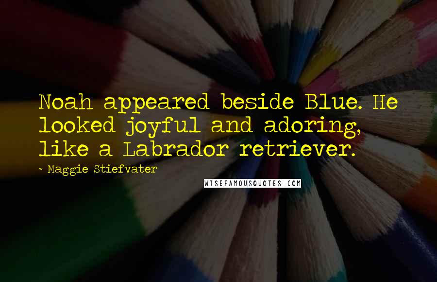 Maggie Stiefvater Quotes: Noah appeared beside Blue. He looked joyful and adoring, like a Labrador retriever.