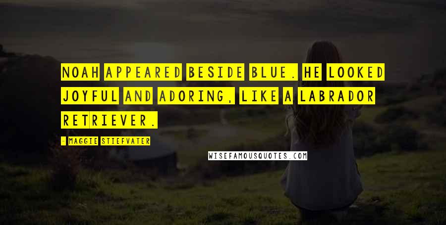 Maggie Stiefvater Quotes: Noah appeared beside Blue. He looked joyful and adoring, like a Labrador retriever.