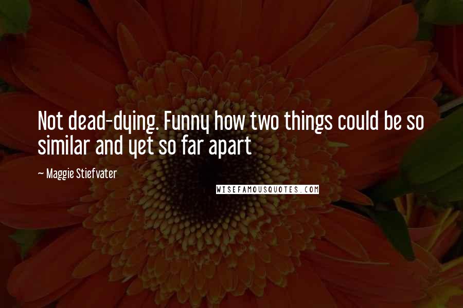 Maggie Stiefvater Quotes: Not dead-dying. Funny how two things could be so similar and yet so far apart