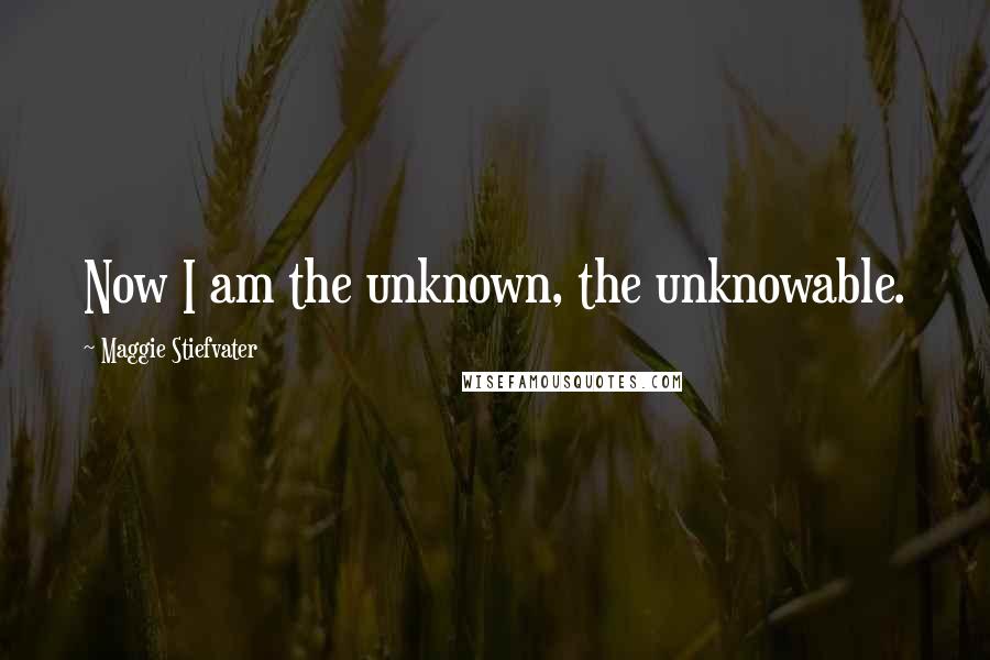Maggie Stiefvater Quotes: Now I am the unknown, the unknowable.