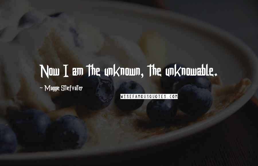 Maggie Stiefvater Quotes: Now I am the unknown, the unknowable.