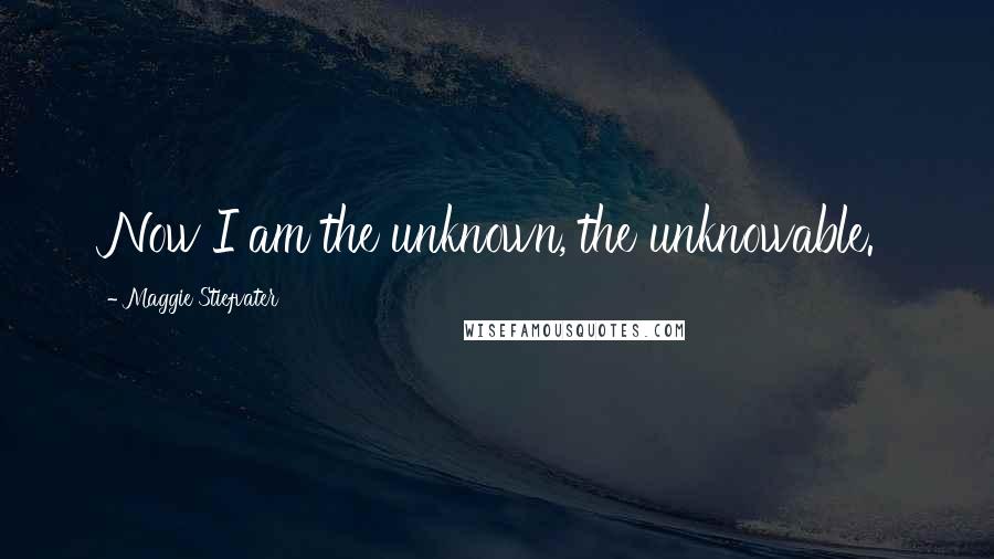 Maggie Stiefvater Quotes: Now I am the unknown, the unknowable.