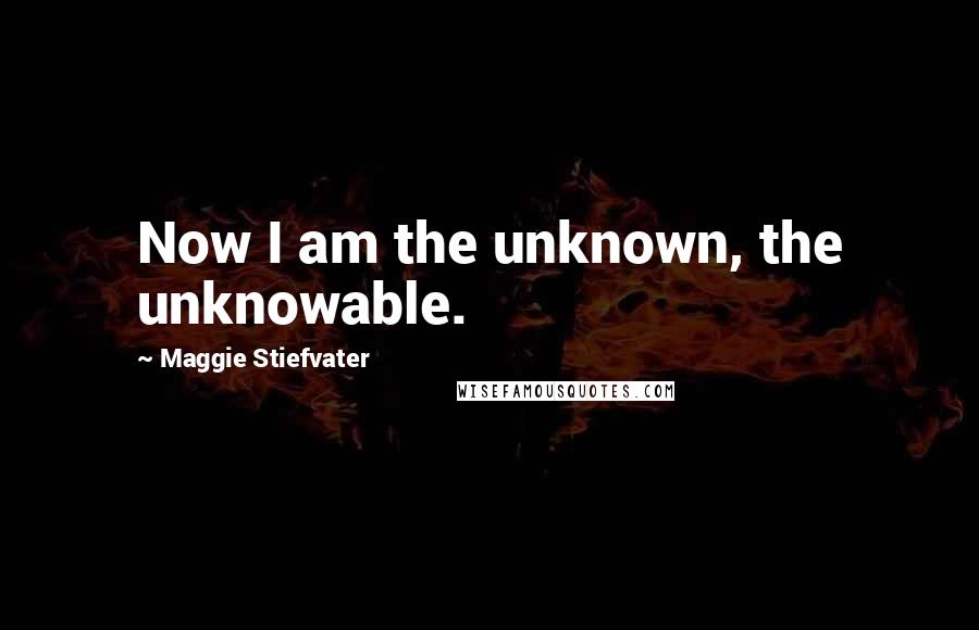 Maggie Stiefvater Quotes: Now I am the unknown, the unknowable.