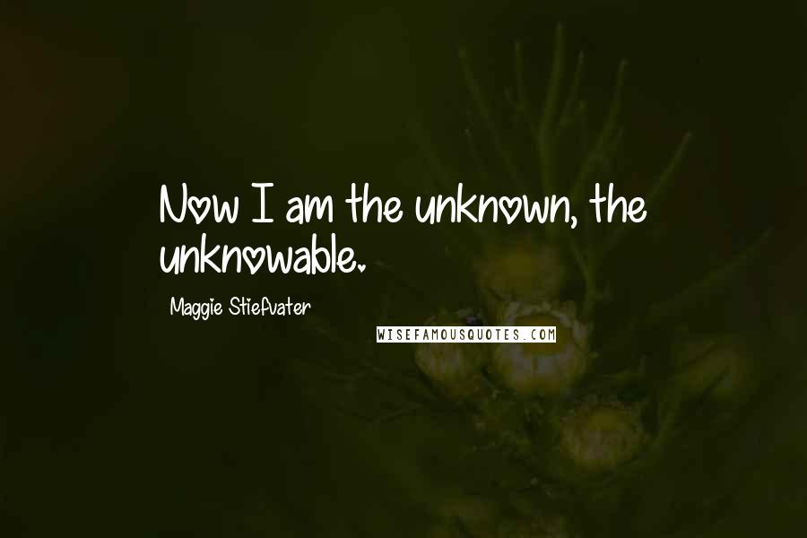 Maggie Stiefvater Quotes: Now I am the unknown, the unknowable.