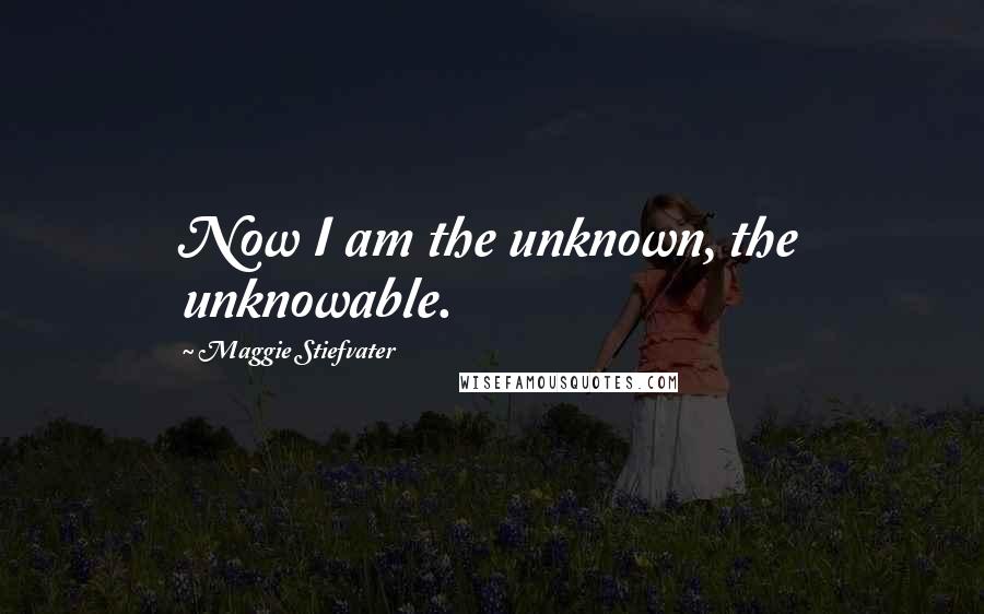 Maggie Stiefvater Quotes: Now I am the unknown, the unknowable.