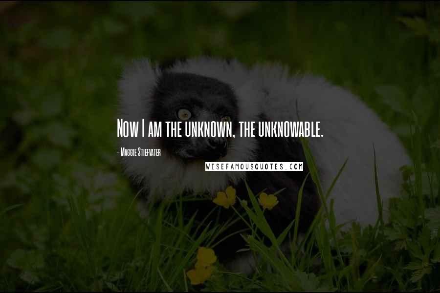 Maggie Stiefvater Quotes: Now I am the unknown, the unknowable.