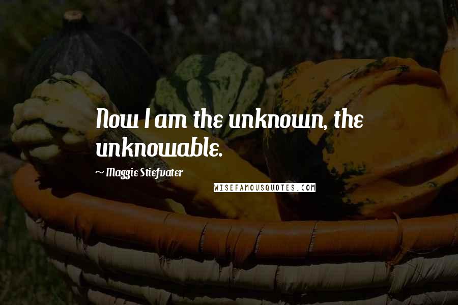 Maggie Stiefvater Quotes: Now I am the unknown, the unknowable.