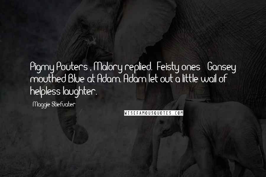 Maggie Stiefvater Quotes: Pigmy Pouters', Malory replied. 'Feisty ones!' Gansey mouthed Blue at Adam. Adam let out a little wail of helpless laughter.