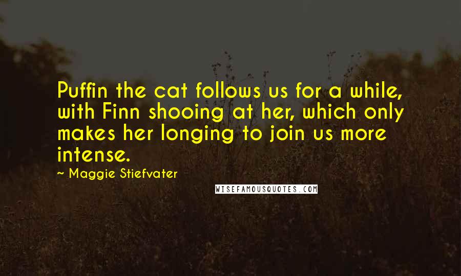 Maggie Stiefvater Quotes: Puffin the cat follows us for a while, with Finn shooing at her, which only makes her longing to join us more intense.