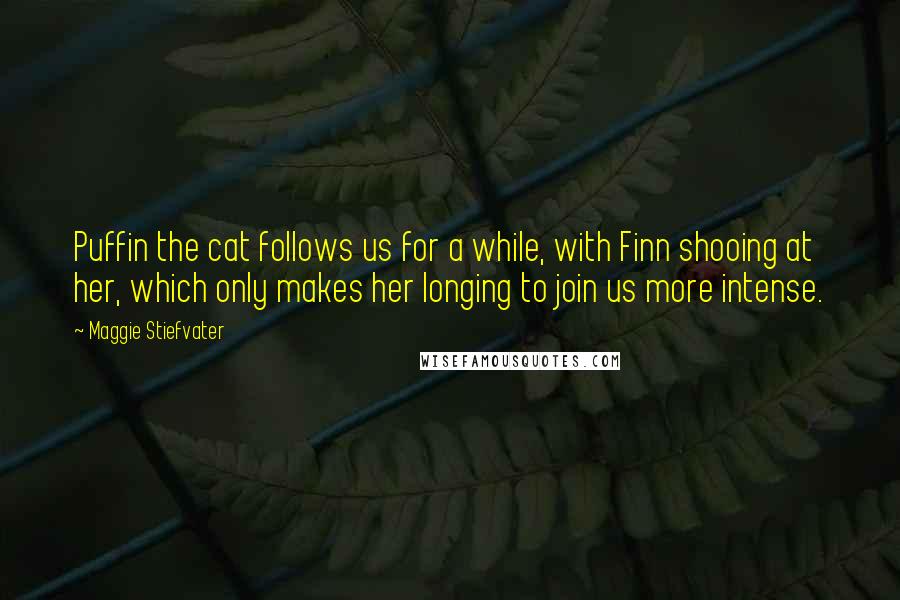 Maggie Stiefvater Quotes: Puffin the cat follows us for a while, with Finn shooing at her, which only makes her longing to join us more intense.