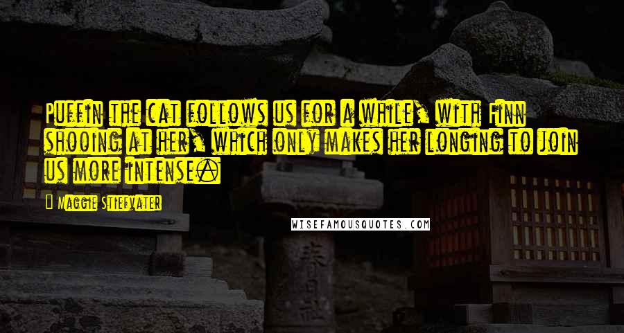 Maggie Stiefvater Quotes: Puffin the cat follows us for a while, with Finn shooing at her, which only makes her longing to join us more intense.