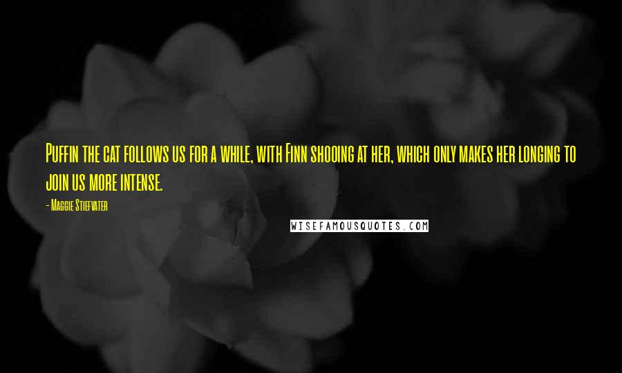 Maggie Stiefvater Quotes: Puffin the cat follows us for a while, with Finn shooing at her, which only makes her longing to join us more intense.