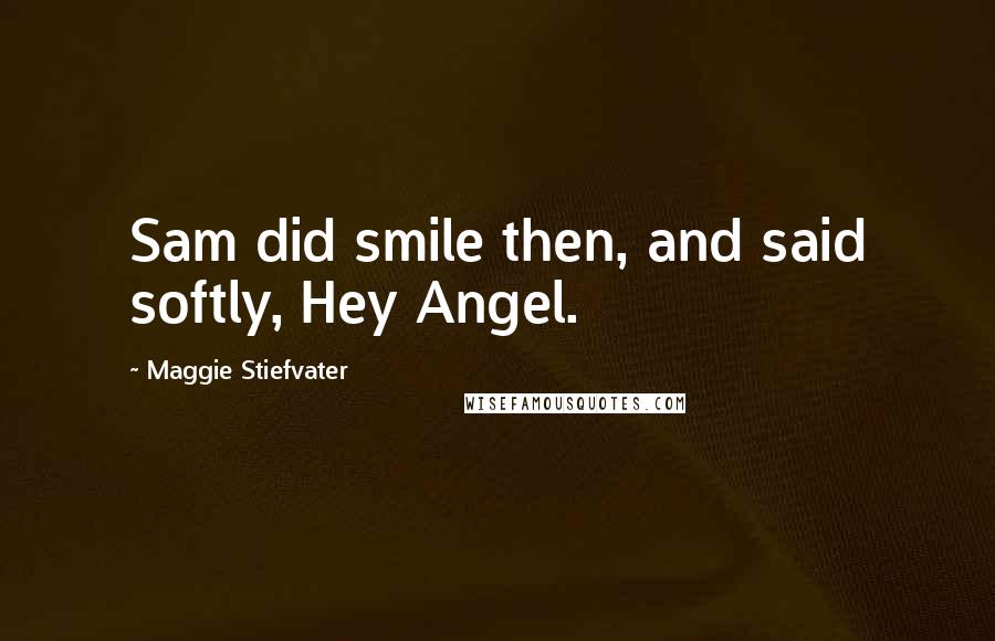 Maggie Stiefvater Quotes: Sam did smile then, and said softly, Hey Angel.