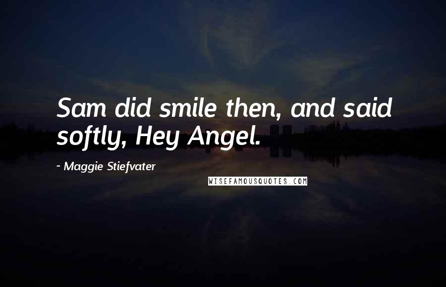 Maggie Stiefvater Quotes: Sam did smile then, and said softly, Hey Angel.