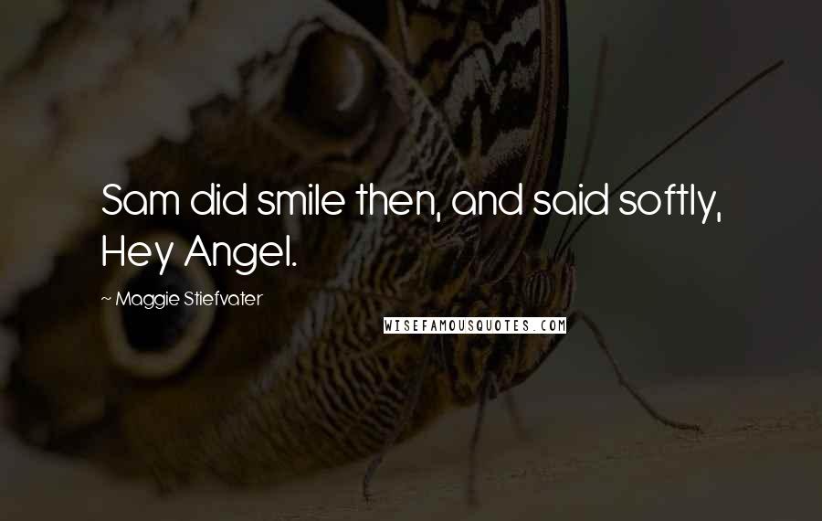 Maggie Stiefvater Quotes: Sam did smile then, and said softly, Hey Angel.