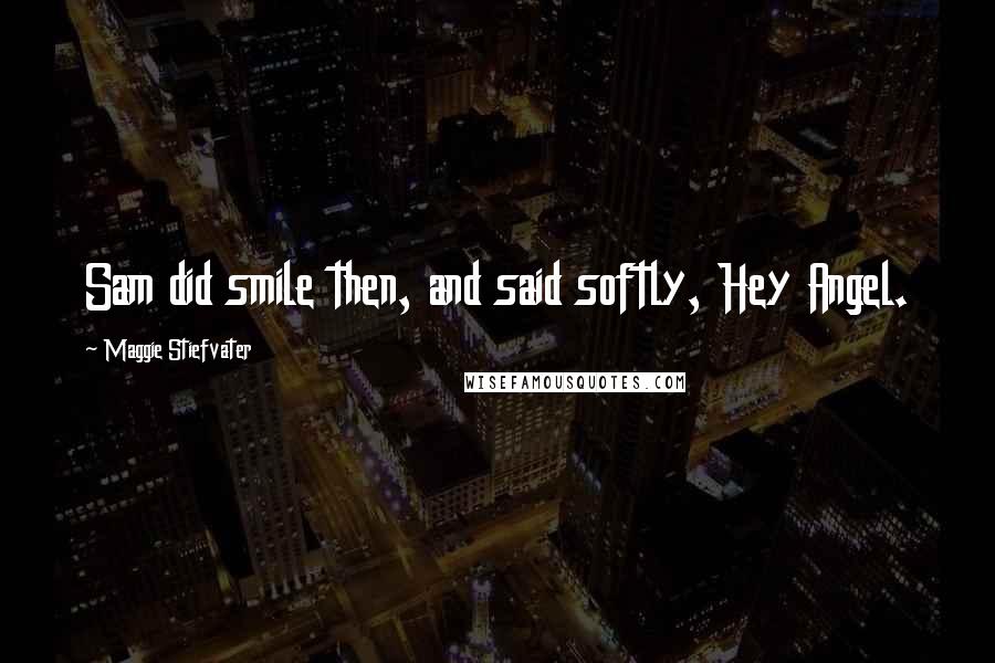 Maggie Stiefvater Quotes: Sam did smile then, and said softly, Hey Angel.