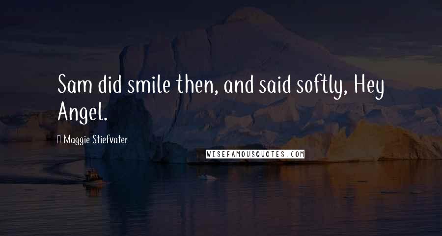 Maggie Stiefvater Quotes: Sam did smile then, and said softly, Hey Angel.