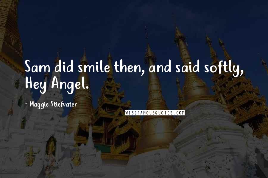 Maggie Stiefvater Quotes: Sam did smile then, and said softly, Hey Angel.