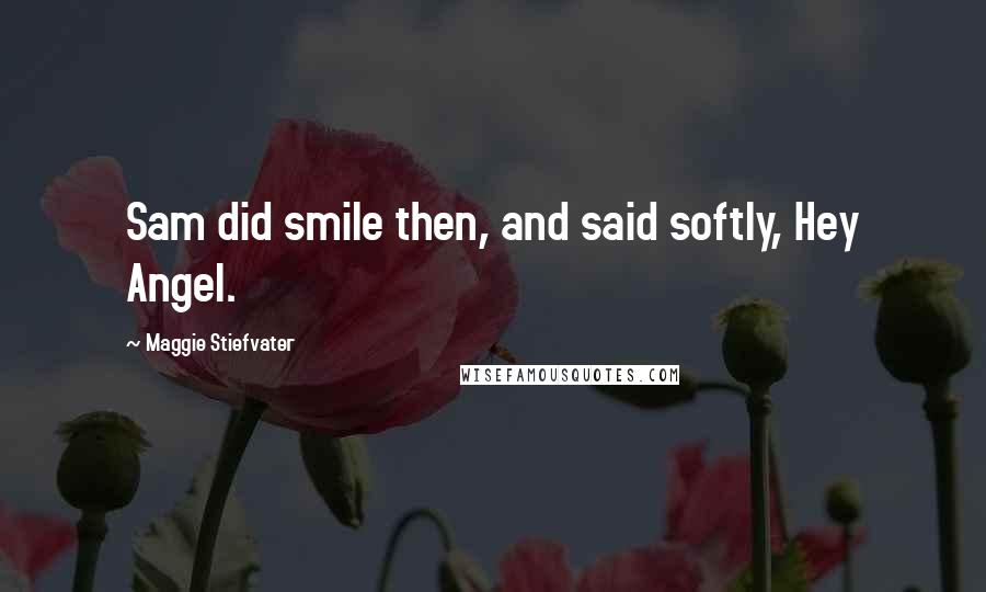 Maggie Stiefvater Quotes: Sam did smile then, and said softly, Hey Angel.