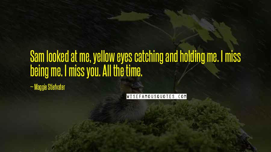 Maggie Stiefvater Quotes: Sam looked at me, yellow eyes catching and holding me. I miss being me. I miss you. All the time.