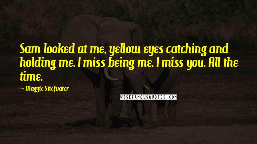 Maggie Stiefvater Quotes: Sam looked at me, yellow eyes catching and holding me. I miss being me. I miss you. All the time.