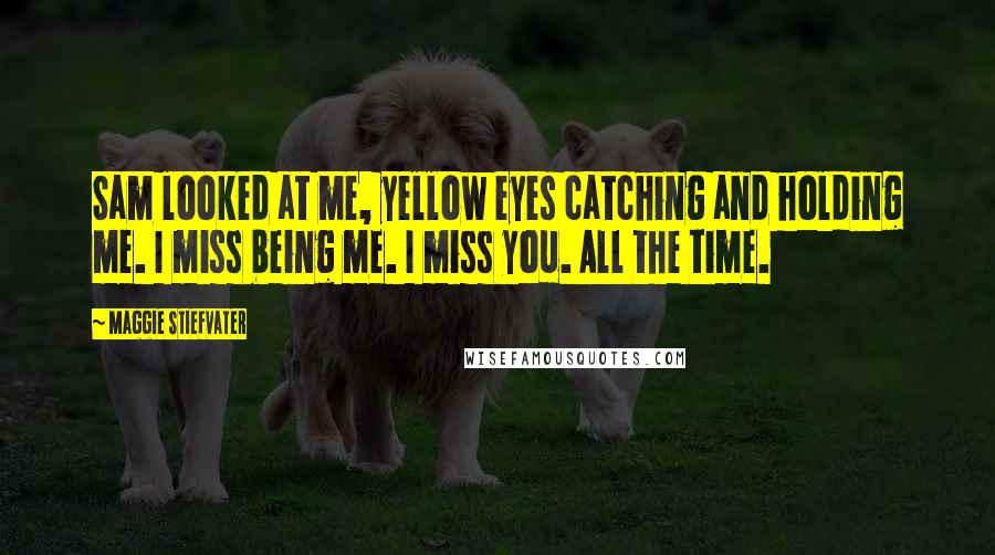 Maggie Stiefvater Quotes: Sam looked at me, yellow eyes catching and holding me. I miss being me. I miss you. All the time.