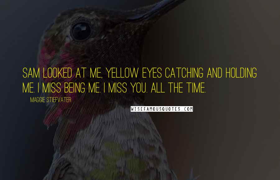 Maggie Stiefvater Quotes: Sam looked at me, yellow eyes catching and holding me. I miss being me. I miss you. All the time.