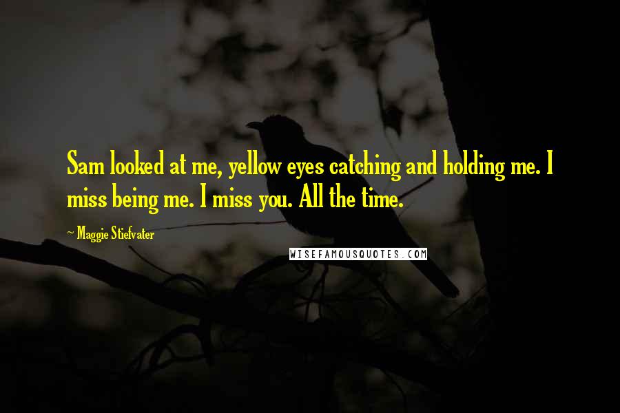 Maggie Stiefvater Quotes: Sam looked at me, yellow eyes catching and holding me. I miss being me. I miss you. All the time.