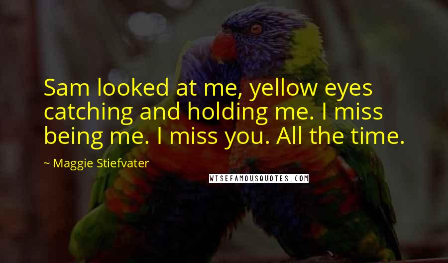 Maggie Stiefvater Quotes: Sam looked at me, yellow eyes catching and holding me. I miss being me. I miss you. All the time.