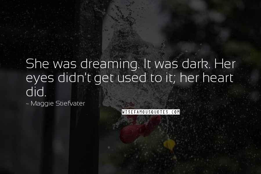 Maggie Stiefvater Quotes: She was dreaming. It was dark. Her eyes didn't get used to it; her heart did.