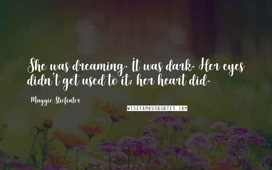 Maggie Stiefvater Quotes: She was dreaming. It was dark. Her eyes didn't get used to it; her heart did.