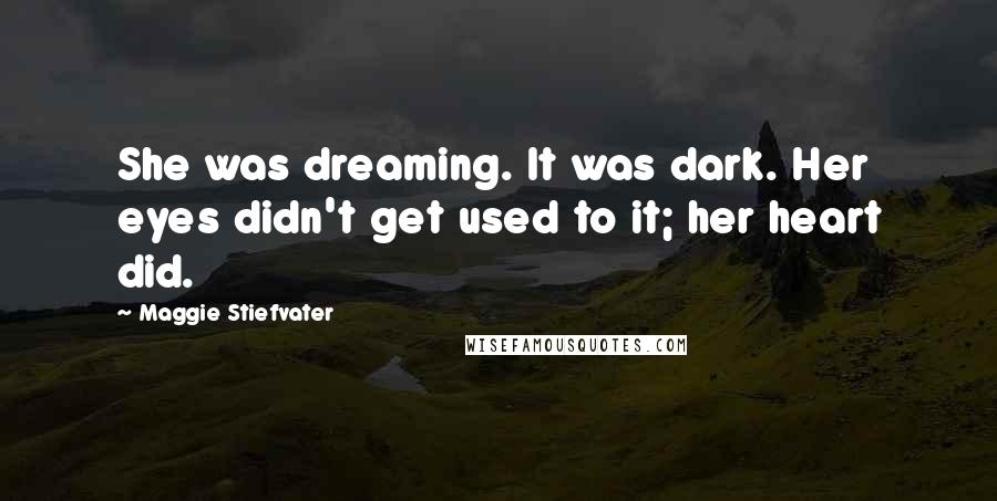 Maggie Stiefvater Quotes: She was dreaming. It was dark. Her eyes didn't get used to it; her heart did.