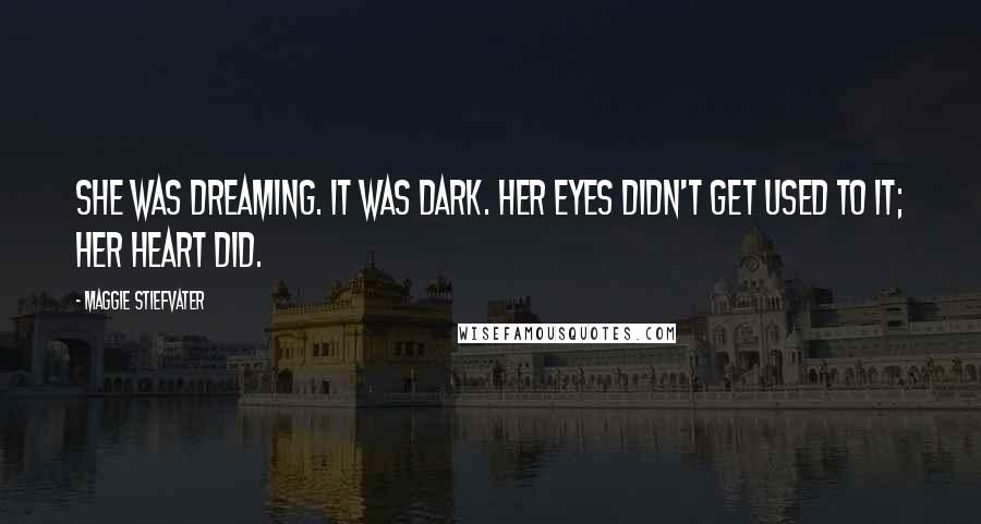 Maggie Stiefvater Quotes: She was dreaming. It was dark. Her eyes didn't get used to it; her heart did.