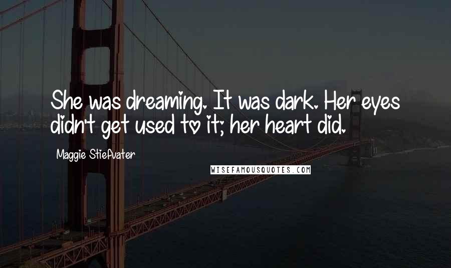 Maggie Stiefvater Quotes: She was dreaming. It was dark. Her eyes didn't get used to it; her heart did.